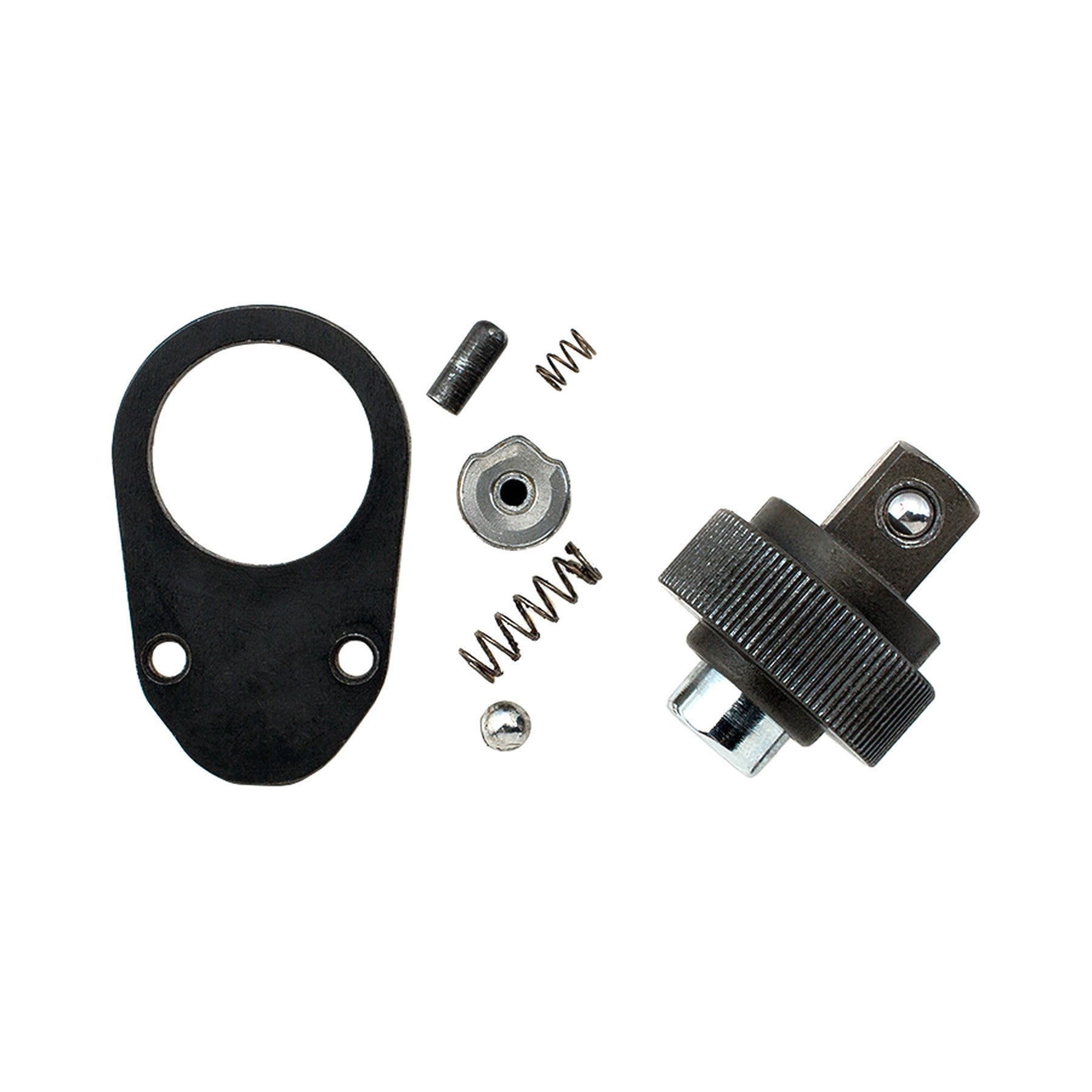 Nepros NBR290-K 1/4" 90-Tooth Ratchet Repair Kit-Liger Tools