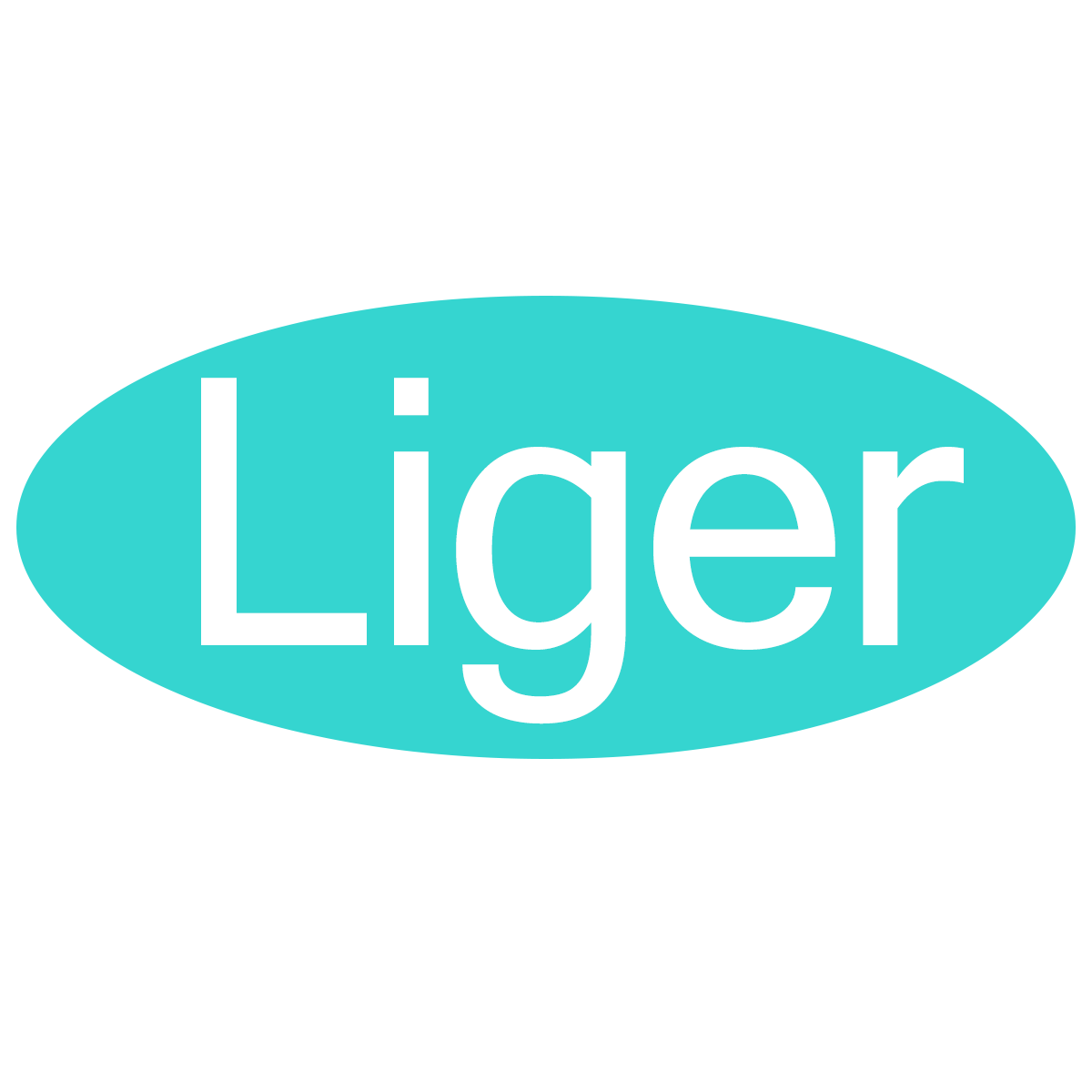 Precision Torque Wrenches For Accurate Fastening Liger Tools Precision torque wrenches for accurate fastening liger tools